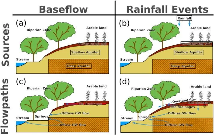 Competencia de Flujo